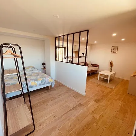 T1 Bis Renove Au Centre D'auch *