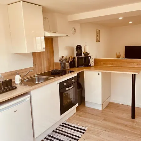 T1 Bis Renove Au Centre D'auch Lägenhet