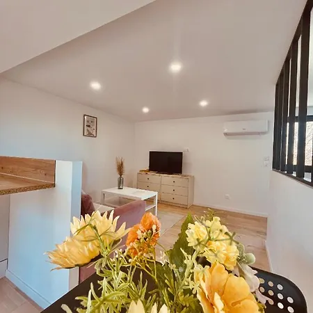 T1 Bis Rénové Au Centre D’auch *