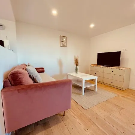 T1 Bis Rénové Au Centre D’auch * Auch